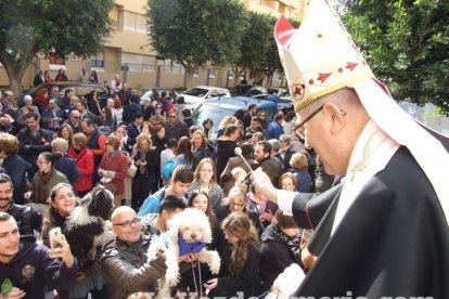 San Antón llena el casco histórico de mascotas