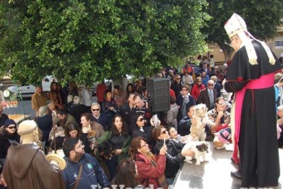 San Antón llena el casco histórico de mascotas
