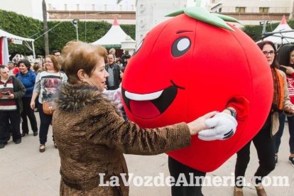 El ‘Oro rojo’, protagonista en la Plaza Vieja. Las empresas del sector y las instituciones almerienses se suman a un reconocimiento uná