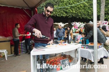 El ‘Oro rojo’, protagonista en la Plaza Vieja. Las empresas del sector y las instituciones almerienses se suman a un reconocimiento uná