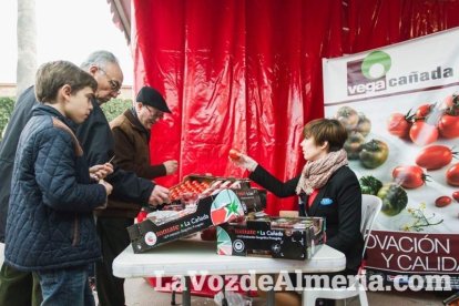 El ‘Oro rojo’, protagonista en la Plaza Vieja. Las empresas del sector y las instituciones almerienses se suman a un reconocimiento uná