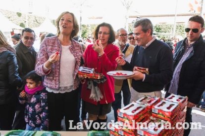 El ‘Oro rojo’, protagonista en la Plaza Vieja. Las empresas del sector y las instituciones almerienses se suman a un reconocimiento uná