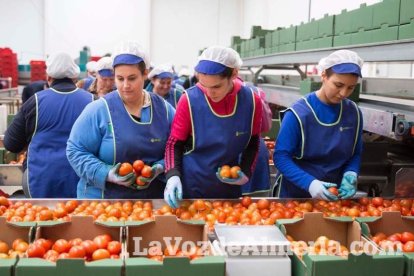 La presidenta de la Junta de Andalucía, Susana Díaz, visita Vera y los Campos de Níjar. Fotos: Fran Muñoz.