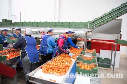 La presidenta de la Junta de Andalucía, Susana Díaz, visita Vera y los Campos de Níjar. Fotos: Fran Muñoz.