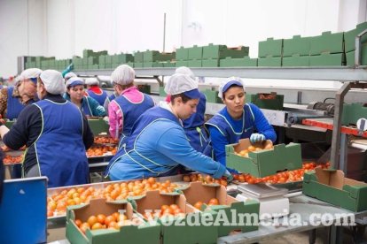 La presidenta de la Junta de Andalucía, Susana Díaz, visita Vera y los Campos de Níjar. Fotos: Fran Muñoz.