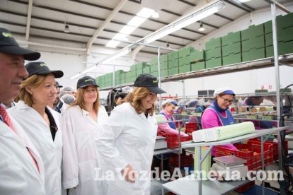 La presidenta de la Junta de Andalucía, Susana Díaz, visita Vera y los Campos de Níjar. Fotos: Fran Muñoz.