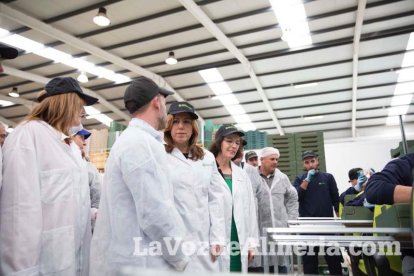 La presidenta de la Junta de Andalucía, Susana Díaz, visita Vera y los Campos de Níjar. Fotos: Fran Muñoz.