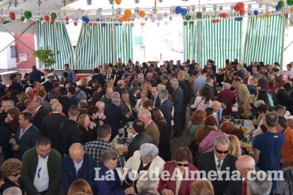 Fiestas de Abla en honor a Los Santos Martires.