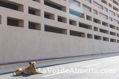 Trabajos en el entorno del Mesón Gitano. Fotos: Juan Sánchez.