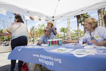Celebración del Día de la Familia en el Parque de las Familias de Almería.