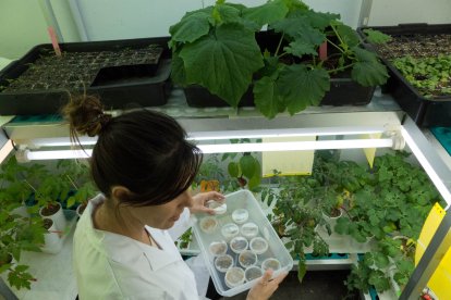 Estefanía Rodríguez