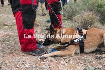 Búsqueda de Gabriel Cruz Ramírez, desaparecido el 27 de febrero en Las Hortichuelas, Níjar.