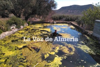 Búsqueda de Gabriel Cruz Ramírez, desaparecido el 27 de febrero en Las Hortichuelas, Níjar.