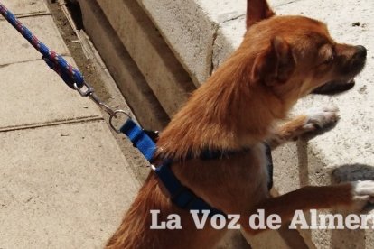 Protagonistas de actualidad, actividades para todas las edades y diversión para los asistentes.