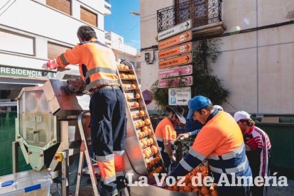 VI Fiesta de la Naranja de Gádor