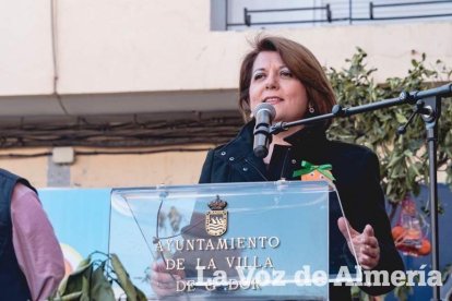 VI Fiesta de la Naranja de Gádor