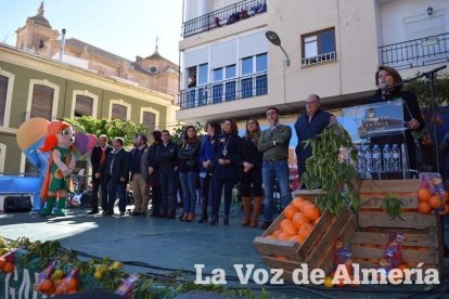 VI Fiesta de la Naranja de Gádor