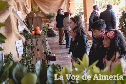 VI Fiesta de la Naranja de Gádor