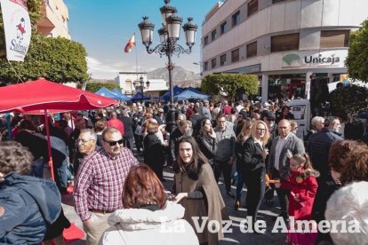 VI Fiesta de la Naranja de Gádor