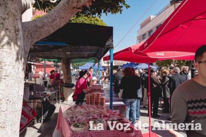 VI Fiesta de la Naranja de Gádor