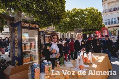 VI Fiesta de la Naranja de Gádor