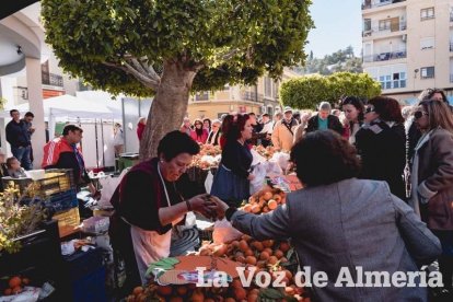 VI Fiesta de la Naranja de Gádor