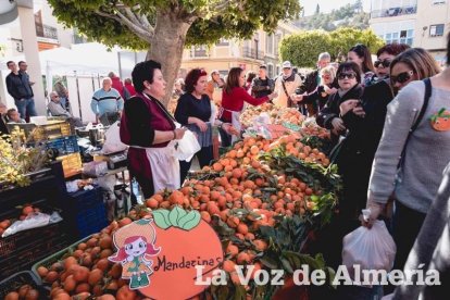 VI Fiesta de la Naranja de Gádor