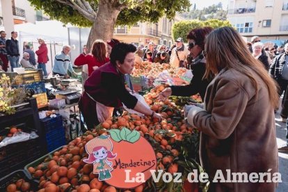 VI Fiesta de la Naranja de Gádor