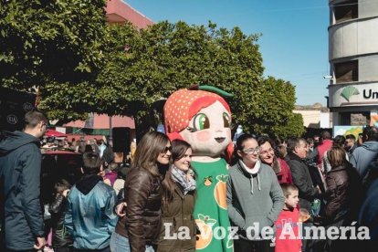 VI Fiesta de la Naranja de Gádor