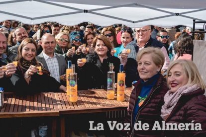 VI Fiesta de la Naranja de Gádor