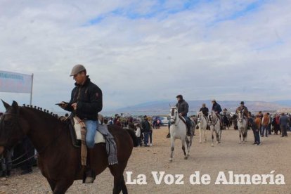Romería de la Virgen del Mar
