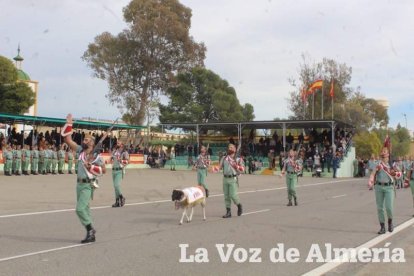 60 aniversario del Combate de Edchera