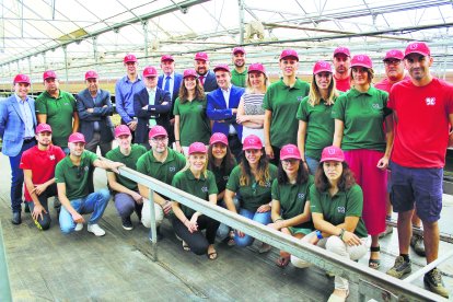 PRIMAFLOR. Departamentos de Expansión, Compras, Operaciones y Técnico.