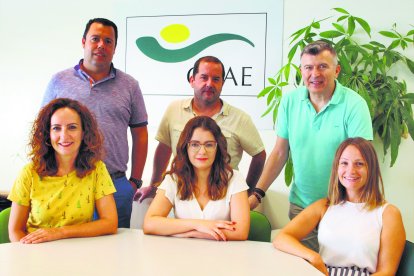 CAAE. Técnicos de inspección, administrativos y delegado.