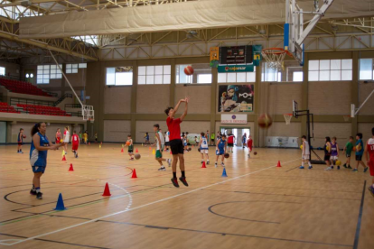 Entranado a canasta.