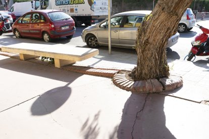 Aceras levantadas por la presión de las raíces de los árboles.