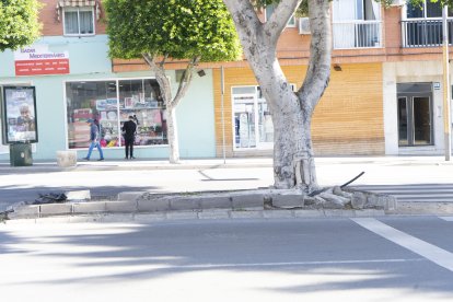 Bordillo de una acera roto.