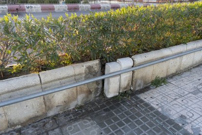 Puente de la Avenida del Mediterráneo.