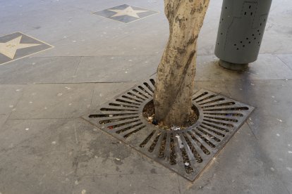 Suciedad junto al Teatro Cervantes y el Paseo de la Fama de Almería.