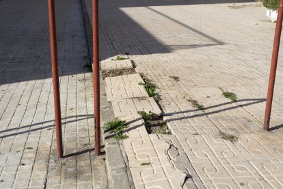 Peligro para los viandantes por el estado de aceras como esta.