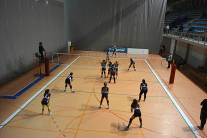 El voleibol goza de buena salud.