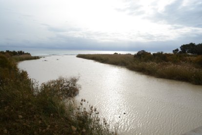 El río Aguas en su desembocadura en la costa de Mojácar.