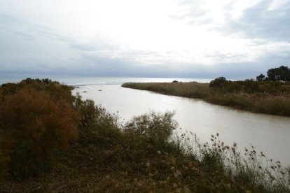 El río Aguas en su desembocadura en la costa de Mojácar.