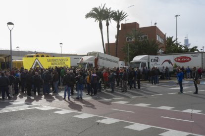 Concentración de los agricultores en Almería capital.