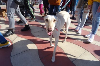 Almería fue una de las localidades que se unió a esta convocatoria nacional.