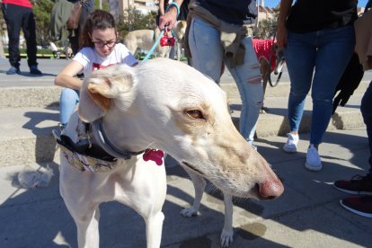 Almería fue una de las localidades que se unió a esta convocatoria nacional.
