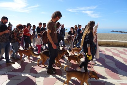 Participantes en la concentración en el Paseo Marítimo.