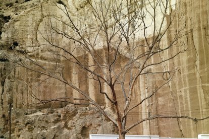 \'Informalismos\', serie que cierra \'La Chanca\'.