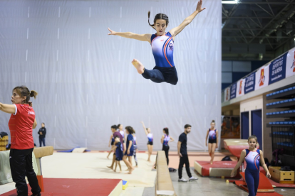 Pleno dominio de los aparatos.