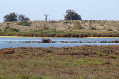 Humedal de Las Salinas.